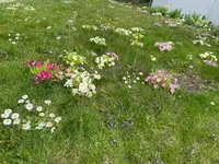 IMG_5320.webp