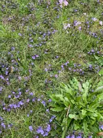 IMG_5339.webp