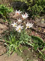 IMG_0555.webp IMG_0555.webp