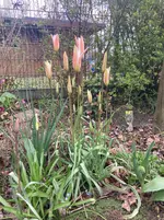 IMG_0522.webp IMG_0522.webp