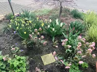 IMG_0512.webp IMG_0512.webp