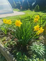 IMG_20260405_094322.webp