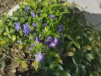 IMG_20260405_094718.webp