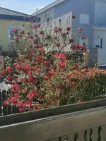 IMG_20260405_150910.webp