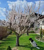 IMG-20260324-WA0003.webp