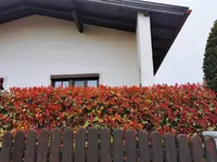 IMG_20260329_165545.webp