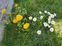 IMG_20260405_160339.webp