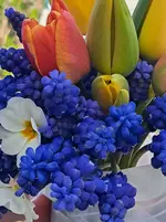 20260406_155749.webp