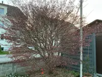 IMG_2321.webp IMG_2321.webp