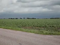S-Öved1.webp