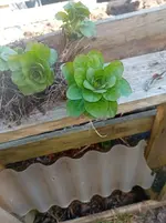 20260407_150159.webp