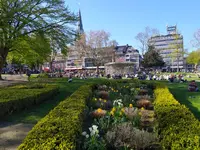 IMG_20260407_170014.webp IMG_20260407_170014.webp