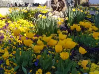 IMG_20260407_165829.webp IMG_20260407_165829.webp