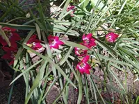 IMG_20260407_123605.webp