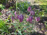 IMG_20260407_123153.webp