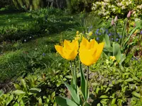 IMG_20260407_123031.webp