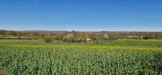 20260408_102513.webp
