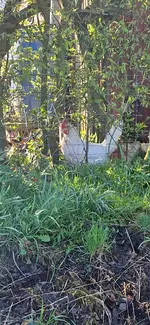 20260408_102754.webp