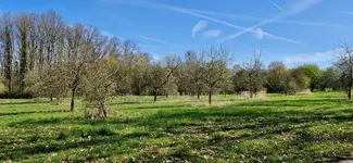 20260408_105810.webp