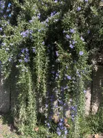IMG_3484.webp IMG_3484.webp