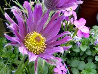 13.webp