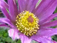 14.webp