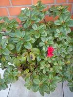 DSC08608.webp