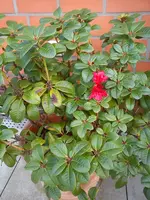 DSC08609.webp