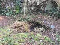 Teich-Rückbau_01.webp