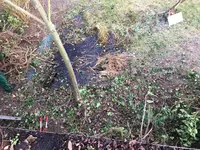 Teich-Rückbau_02.webp