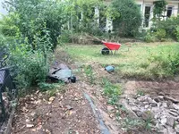 Teich-Rückbau_03.webp