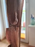 20260413_094126.webp