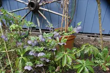 DSC01162.webp