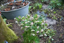 DSC01163.webp