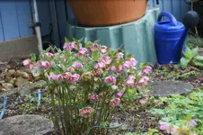 DSC01164.webp