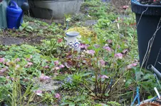 DSC01166.webp