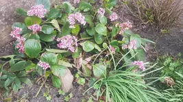 2026-04-13 .webp