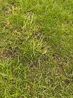 IMG_9238.webp