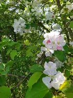 IMG_20260414_112901.webp
