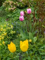 IMG_20260414_132406.webp