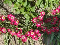 IMG_20260414_132238.webp