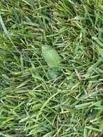 IMG-20260415-WA0032.webp