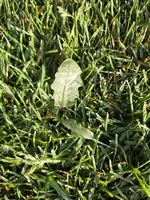 IMG-20260415-WA0030.webp