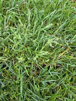 IMG-20260415-WA0027.webp