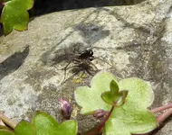 24.webp