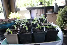 April   0426 JPG.webp