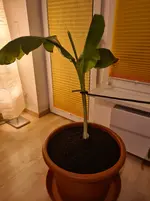 20260416_205245.webp