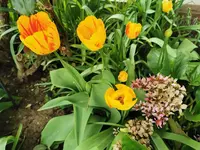 IMG_20260416_145631.webp