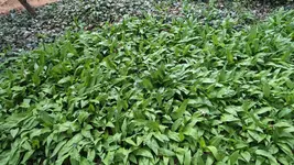 IMG-20260416-WA0004.webp