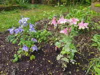 IMG_20260418_121445.webp